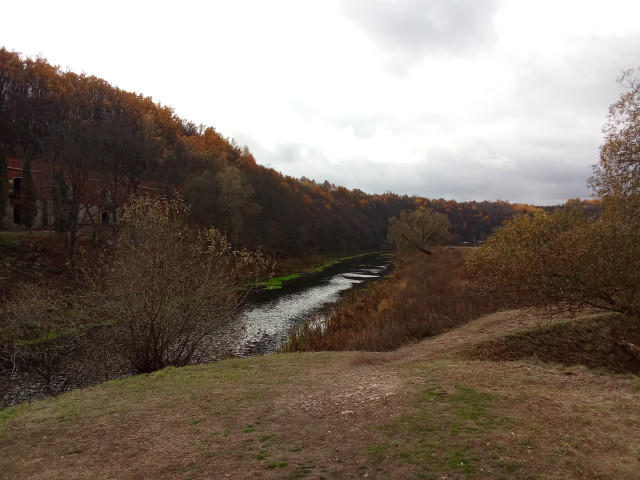 IMG_20241027_121515.jpg