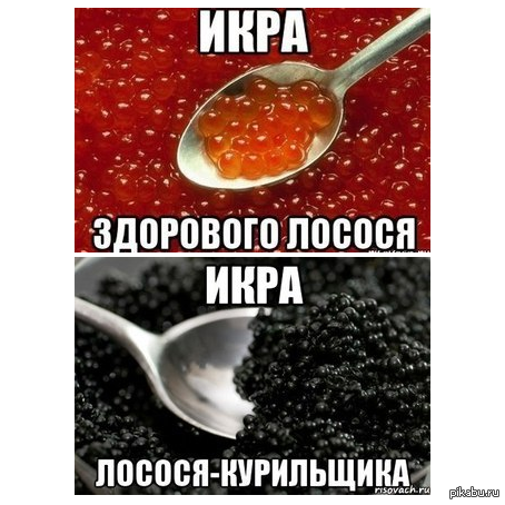 1373476871_524311678.png