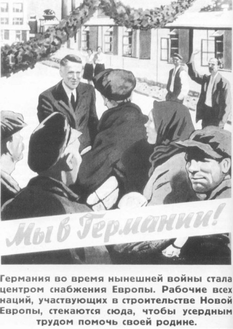219.jpg