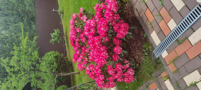 20250530_093721.jpg