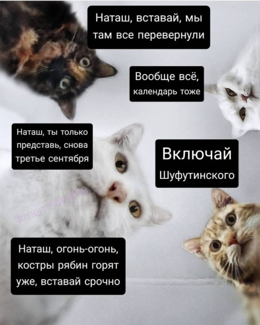 a1ed7d1a42b15a5d518b8970d8b80dbf.jpg