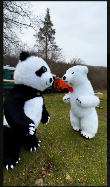 2025-12-16 13_55_31-Шпалорез.live.png