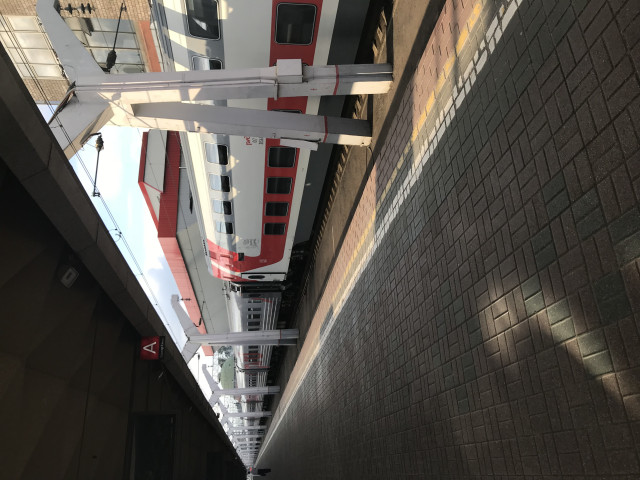 IMG_0390.jpeg (2.3 МБ) Просмотров: 853 IMG_0390.jpeg