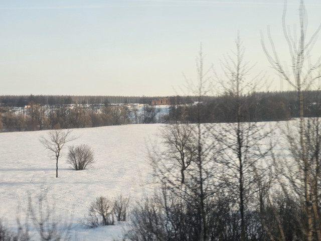 20260311_073529.jpg (2.31 МБ) Просмотров: 2279 20260311_073529.jpg