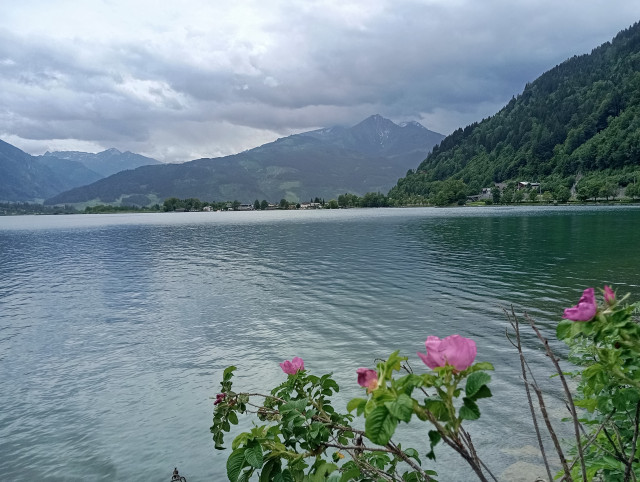 IMG_20260616_142817.jpg