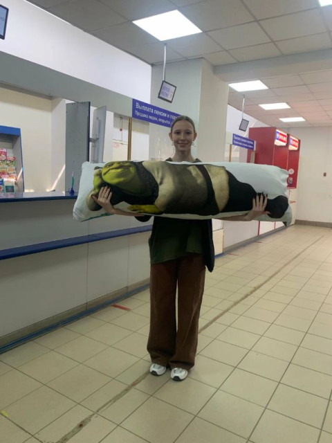 СнимокПР1_2.JPG