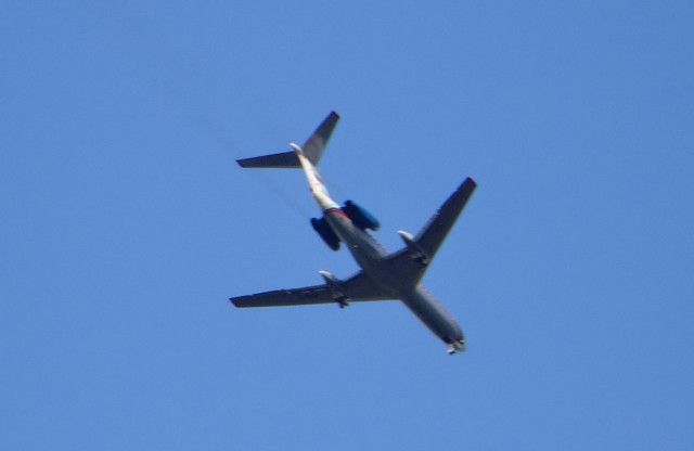 DSC02294_.jpg