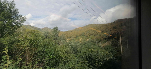 IMG_20260916_084925.jpg