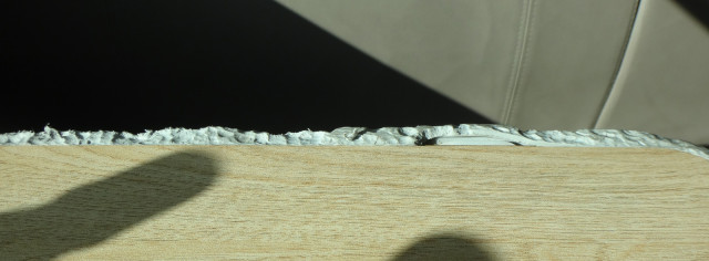 DSC02372_.jpg