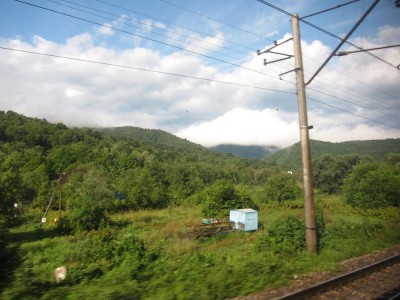 IMG_5174.jpg