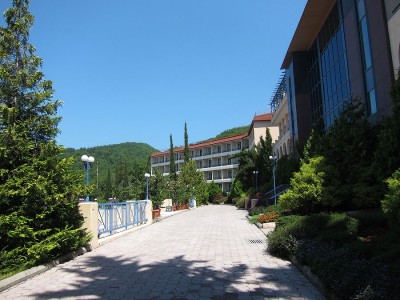 IMG_5203.jpg