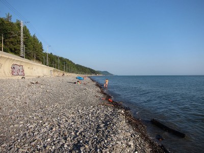 IMG_5244.jpg