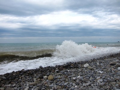 IMG_5293.jpg