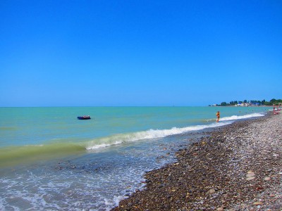 IMG_5441.jpg