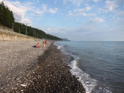 IMG_5515.jpg