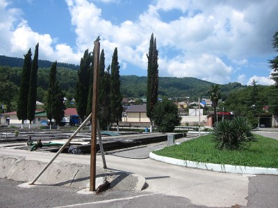IMG_5637.jpg