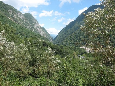 IMG_5661.jpg