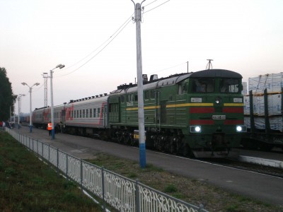 лес.jpg