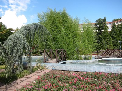 IMG_5849.jpg