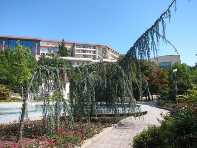 IMG_5848.jpg