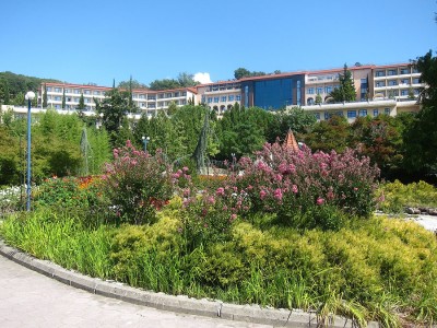 IMG_5825.jpg