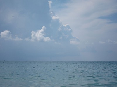 IMG_5893.jpg
