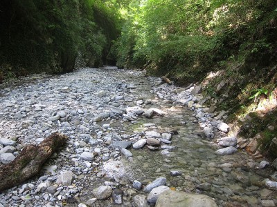 IMG_5918.jpg