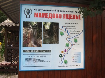 IMG_5908.jpg