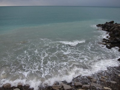 IMG_5994.jpg
