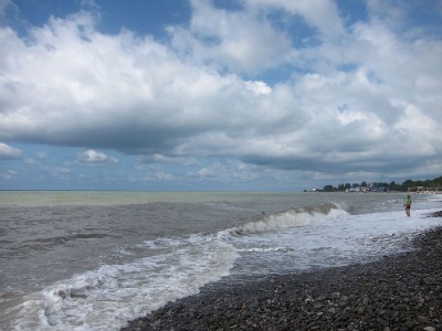 IMG_6048.jpg
