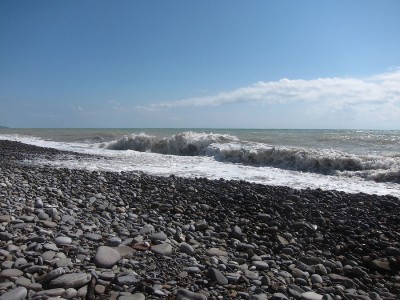 IMG_6064.jpg