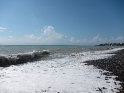 IMG_6058.jpg