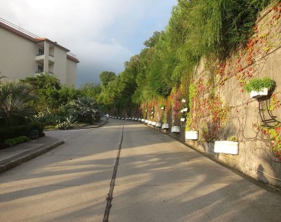 ___IMG_6106.jpg