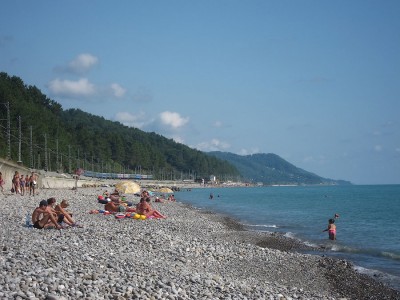 IMG_6131.jpg