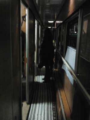 вагон 11 поезда 602 сентябрь 2012.jpg