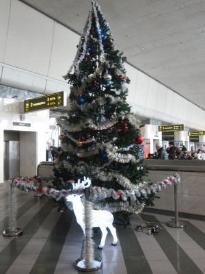 IMG_5247.JPG (625.86 КБ) Просмотров: 12381 IMG_5247.JPG