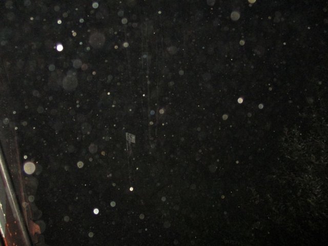 IMG_2222.JPG (159.04 КБ) Просмотров: 7759 IMG_2222.JPG