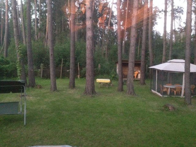 IMG_8509.JPG (1.61 МБ) Просмотров: 1510 IMG_8509.JPG